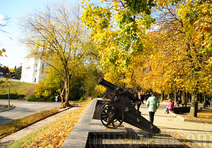 chernigov-pushka-2