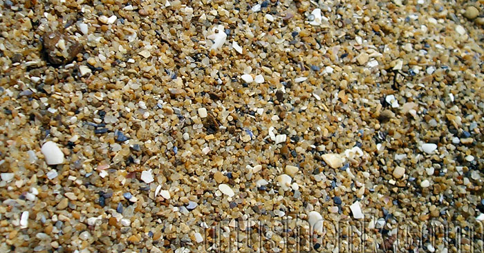 ilichevsk-pljazh-pesok1